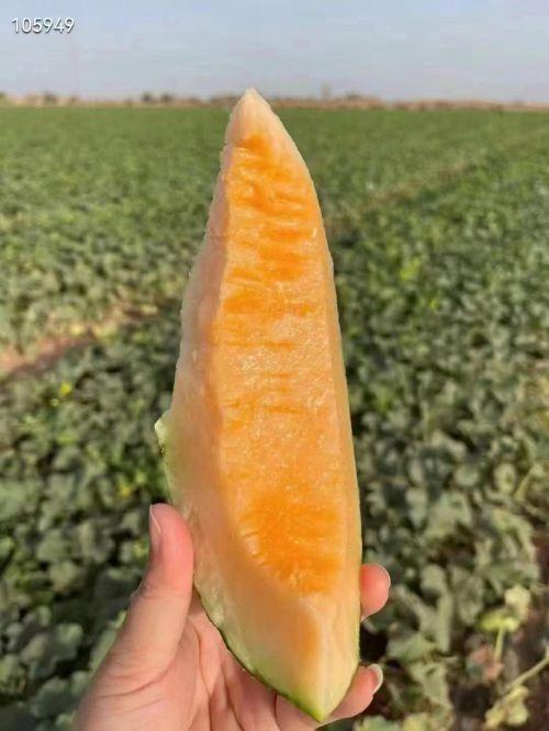 甜辣优优吃瓜,揭秘美食背后的故事与魅力