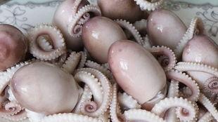 塞章鱼事件吃瓜,一场惊心动魄的海洋奇遇记