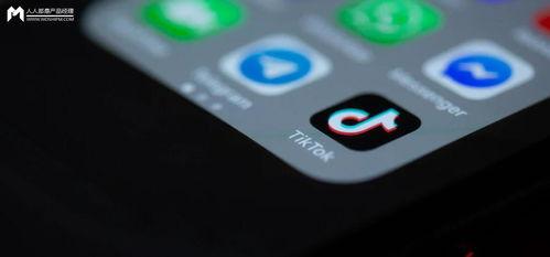 tiktok吃瓜合集,趣味事件大盘点