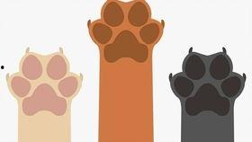 吃瓜德文,揭秘德语世界中的美食文化