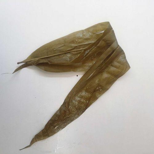 带你吃瓜的奇葩昆虫,带你探索带你吃瓜的昆虫世界