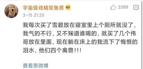 宿舍吃瓜日记,揭秘校园生活那些事儿