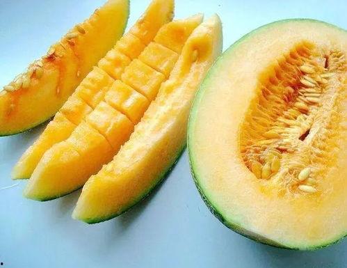 吃最新最甜的瓜,探寻最新最甜瓜果的甜蜜之旅