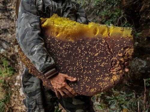 818树洞吃瓜贴,一场吃瓜盛宴背后的网络风云