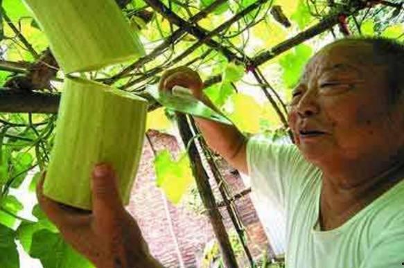 大爷吃瓜奇葩图片,奇观再现，揭秘瓜界奇葩现象