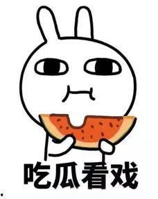 画渣吃瓜君,揭秘娱乐圈那些不为人知的幕后故事