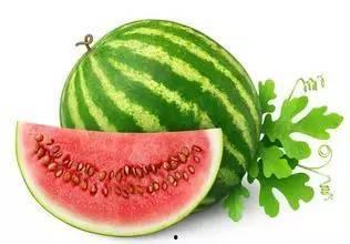 吃小瓜可能发胖嘛,吃小瓜真的会导致发胖吗？揭秘真相