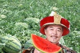 乾隆吃瓜的图片,宫廷吃瓜图鉴