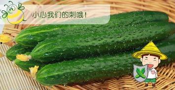 彩六吃瓜,揭秘游戏圈的热辣事件与幕后故事