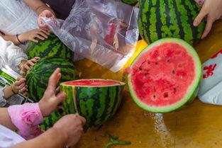 吃瓜爆料入口51cg吃瓜视频,揭秘娱乐圈幕后风云