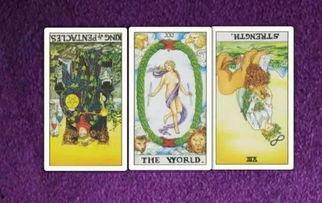 龙女塔罗吃瓜,揭秘娱乐圈的神秘瓜田