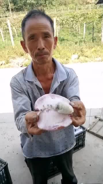 末那大叔吃瓜,揭秘娱乐圈幕后真相