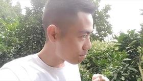 田里吃瓜的动物,探寻瓜田里的动物乐园