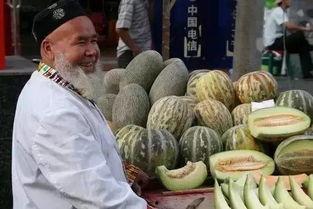 到新疆哈密吃瓜