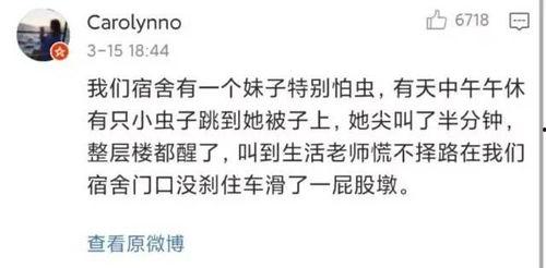 宿舍吃瓜感情经历,一场青春感情的甜蜜与苦涩