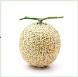 吃瓜解压法,轻松愉悦的休闲生活新方式