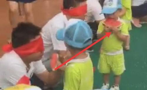 亲子吃瓜活动主题,一场别开生面的吃瓜盛宴