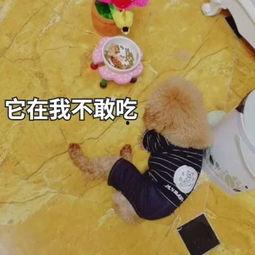 吃瓜滴Jerry,揭秘娱乐圈那些事儿