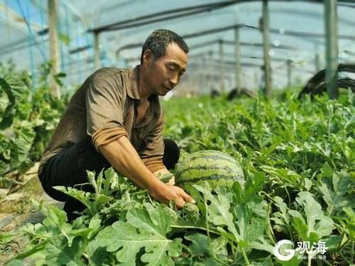 西北二皇子吃瓜事件,宫廷八卦背后的真相揭秘